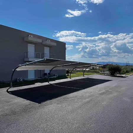 Bela Near Ofrinio