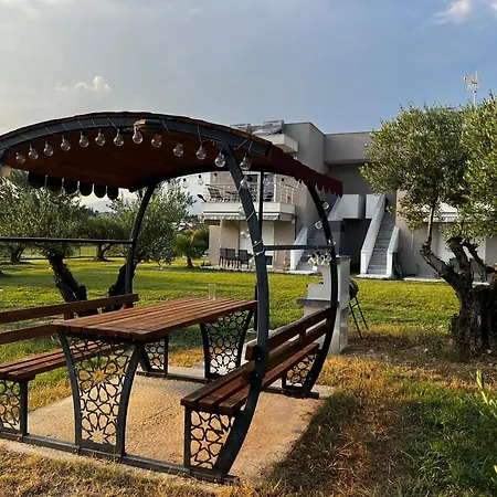 Bela Near Ofrinio
